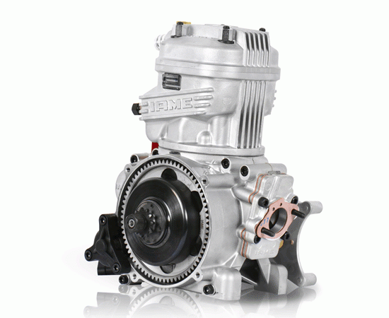 Engine Overhaul IAME X30