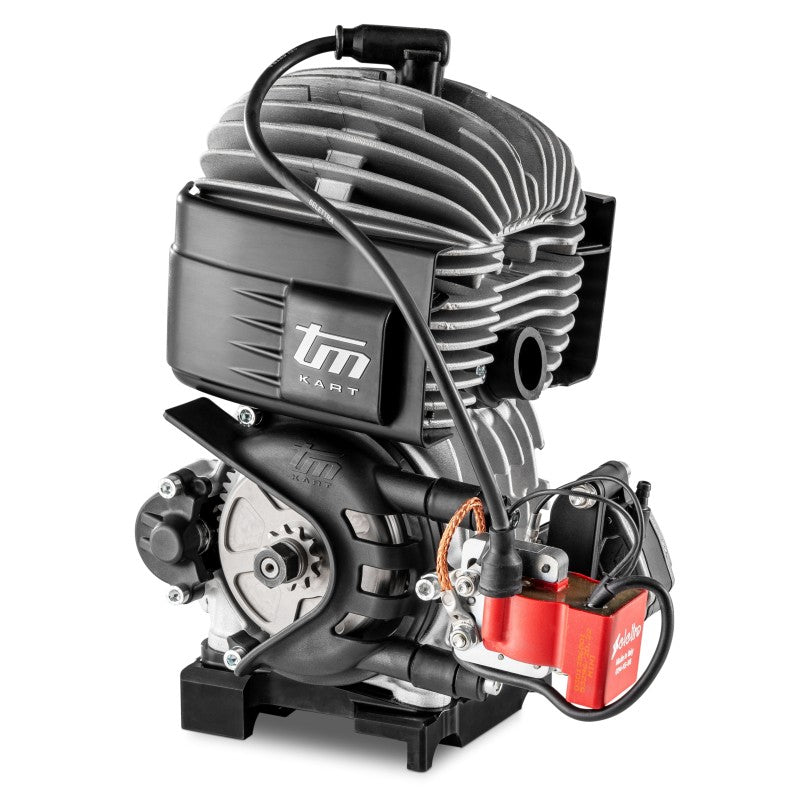 Engine Overhaul Mini 60cc